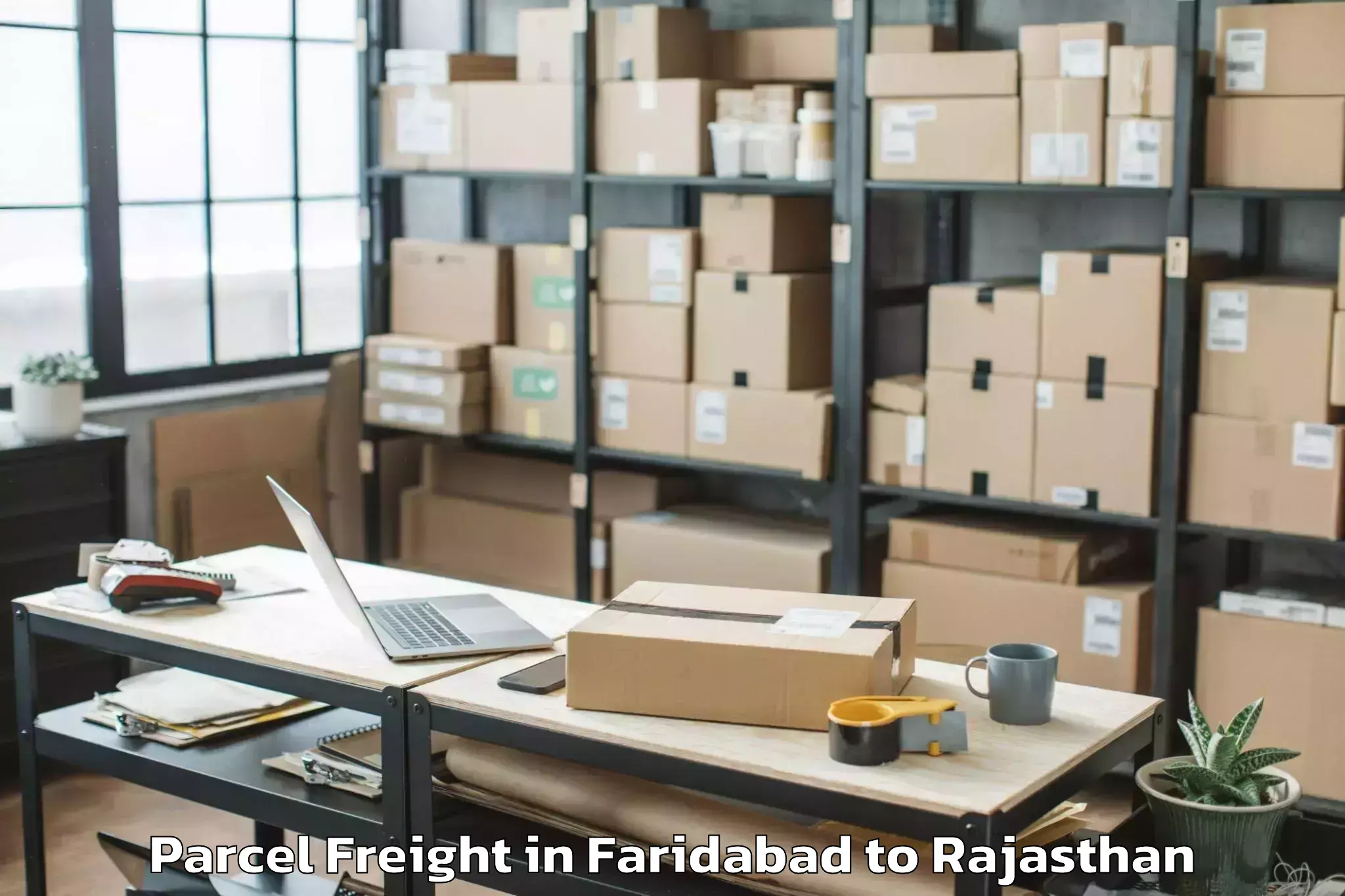 Leading Faridabad to Bagru Parcel Freight Provider